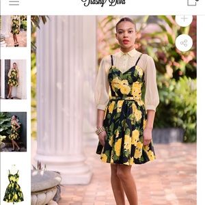 NWT Trashy Diva 1959 Floral Ruby SZ. 12